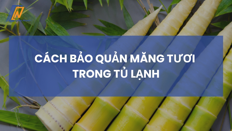 cách bảo quản măng tươi trong tủ lạnh