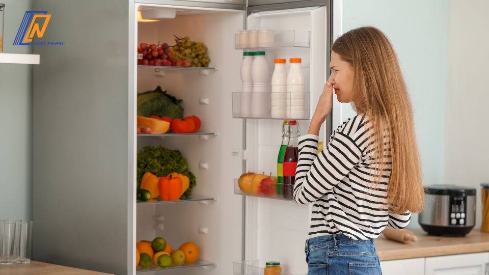 tủ lạnh rút điện lâu có gây hỏng tủ không