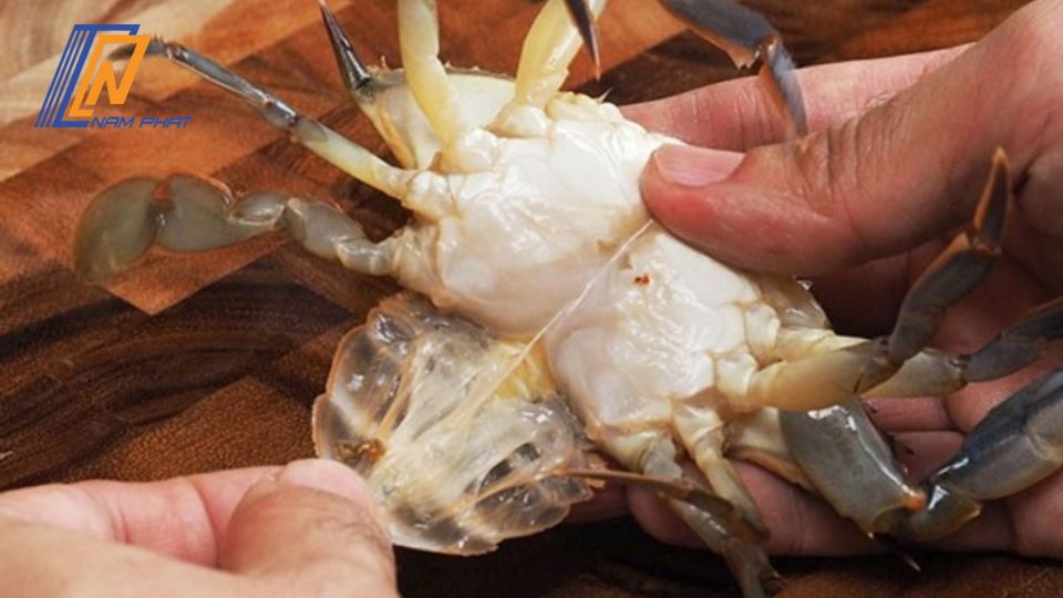 cách bảo quản cua sống trong tủ lạnh