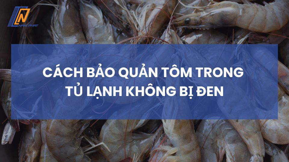 cách bảo quản tôm trong tủ lạnh không bị đen