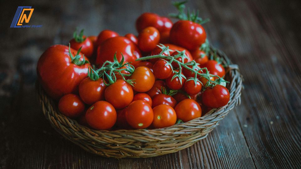 cà chua để tủ lạnh có bị ung thư không