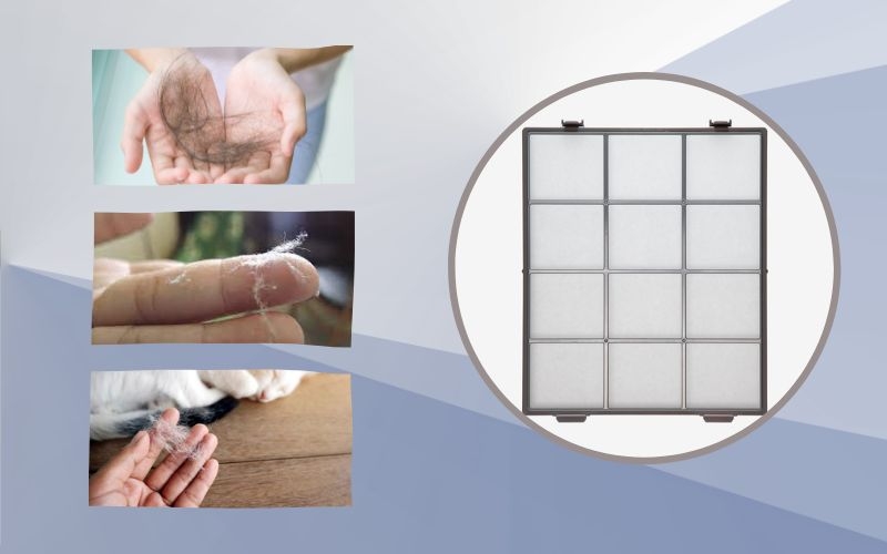 khi nào nên thay màng lọc không khí