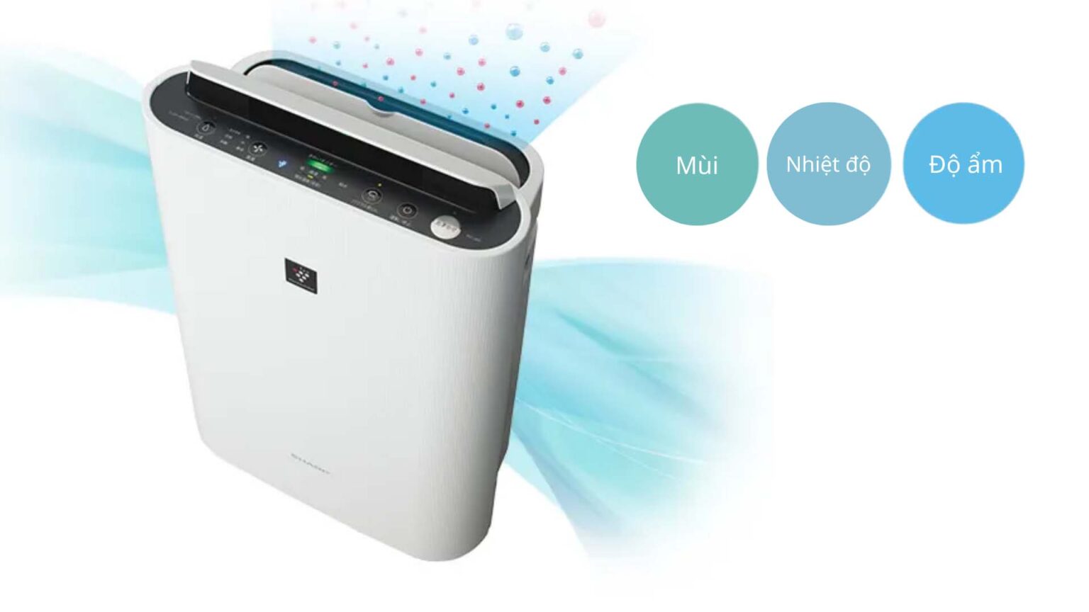 MÁY LỌC KHÔNG KHÍ SHARP KC-T50-W