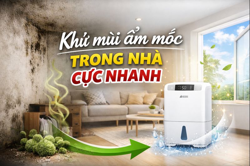 Khử Mùi Ẩm Mốc Trong Nhà Cực Nhanh