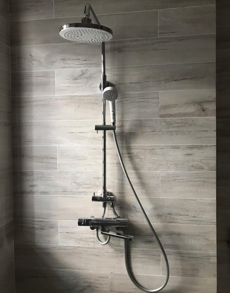 Ảnh chụp thực tế sen cây TOTO TBW04401J