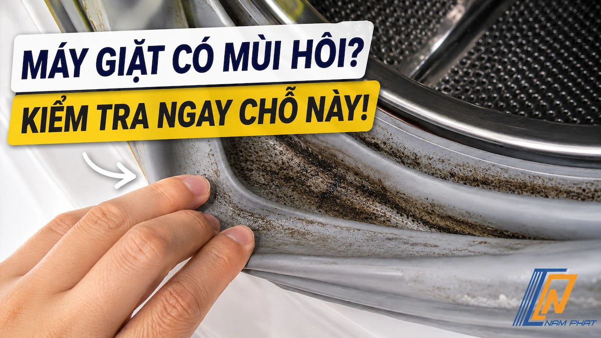 Lồng máy giặt nội địa Nhật bị nấm mốc đen