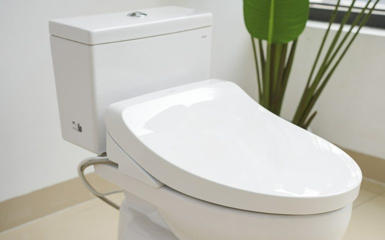 Nắp bồn cầu TOTO TCF8FKM02