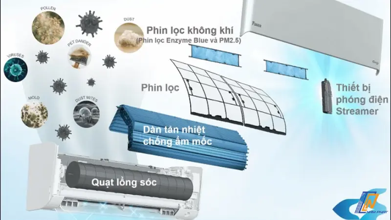 Cơ chế kháng thể sinh học từ lòng đỏ trứng gà vô hiệu hóa virus cúm