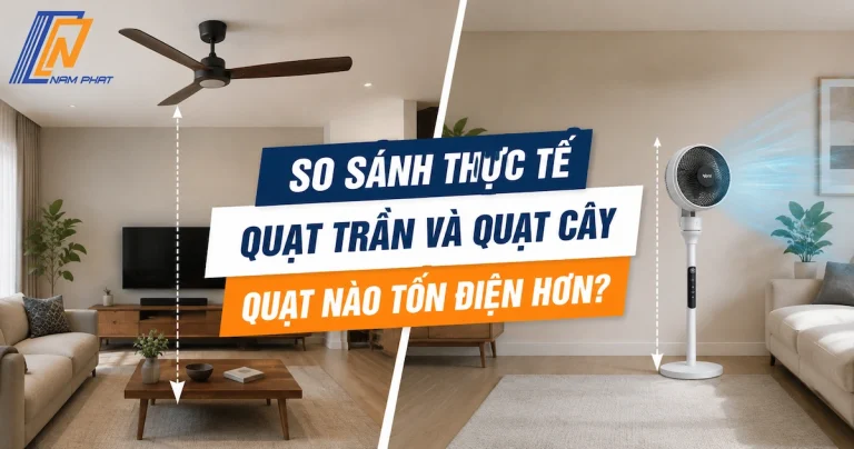So sánh kích thước và kiểu dáng giữa quạt trần và quạt cây trong phòng khách